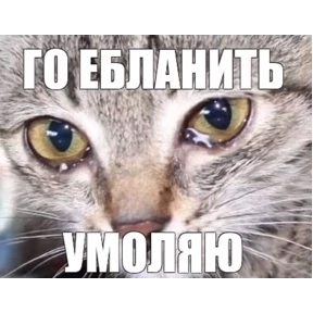 Стикерпак Хз что еще написать для мессенджера MAX