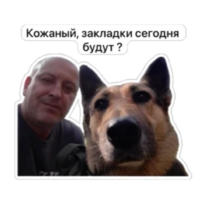 4 смена рулит — стикер для MAX