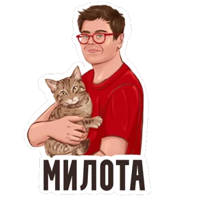 На случай важных переговоров — стикер для MAX