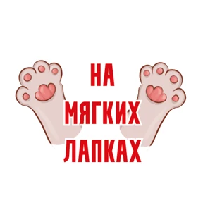 На случай важных переговоров — стикер для MAX