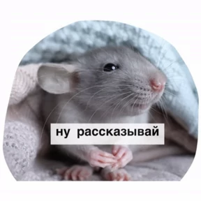 Крысим — стикер для MAX
