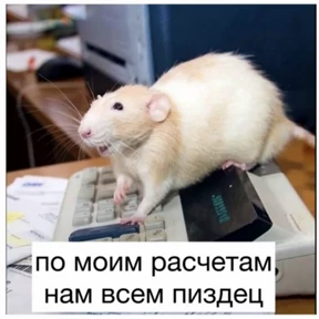 Крысим — стикер для MAX
