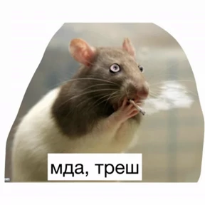 Крысим — стикер для MAX