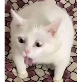 Stickers — стикер для MAX