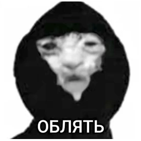 Ответ на серьёзный вопрос — стикер для MAX