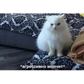 Ответ на серьёзный вопрос — стикер для MAX
