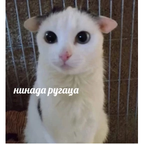 Ответ на серьёзный вопрос — стикер для MAX