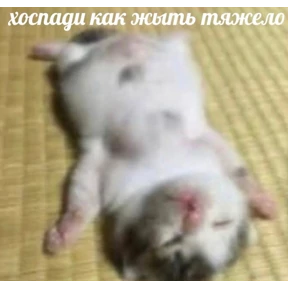 Ответ на серьёзный вопрос — стикер для MAX