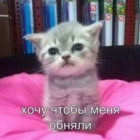 Ответ на серьёзный вопрос — стикер для MAX