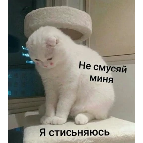 Ответ на серьёзный вопрос — стикер для MAX