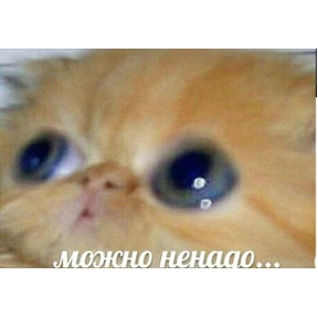 Ответ на серьёзный вопрос — стикер для MAX