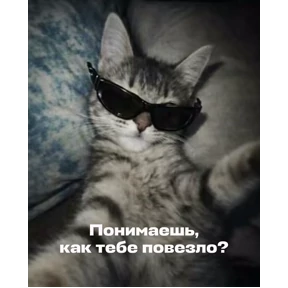 mimi — стикер для MAX