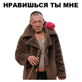 ой ой оой — стикер для MAX