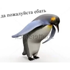 ой ой оой — стикер для MAX