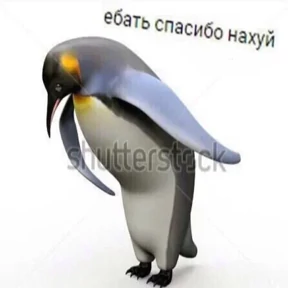 ой ой оой — стикер для MAX