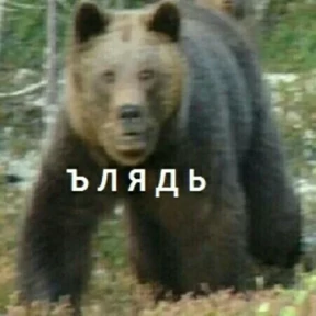 ой ой оой — стикер для MAX