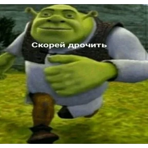 ой ой оой — стикер для MAX