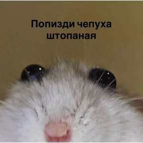 кристинкины — стикер для MAX