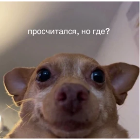 кристинкины — стикер для MAX
