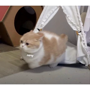 Стикерпак Memes для мессенджера MAX