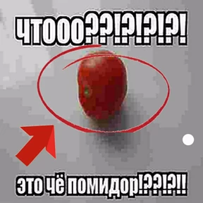 Е6аный насрал — стикер для MAX