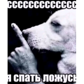 Е6аный насрал — стикер для MAX