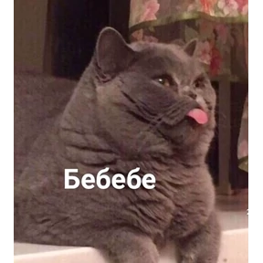 Мемы — стикер для MAX