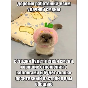 Memes — стикер для MAX