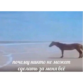 Memes — стикер для MAX