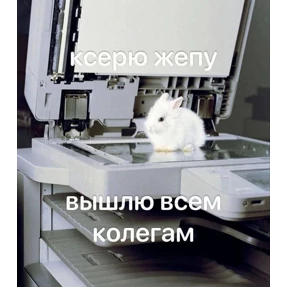 Memes — стикер для MAX