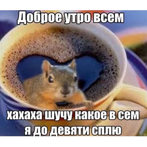 Memes — стикер для MAX
