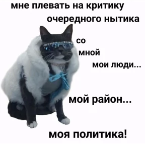 Memes — стикер для MAX