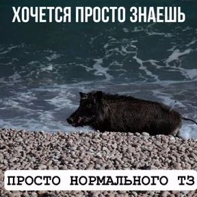 Memes — стикер для MAX