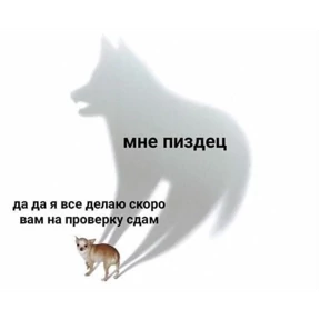 Memes — стикер для MAX