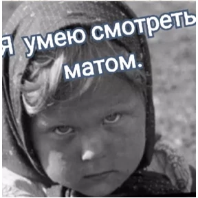 Шо? — стикер для MAX