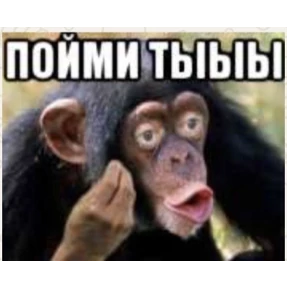 Шо? — стикер для MAX