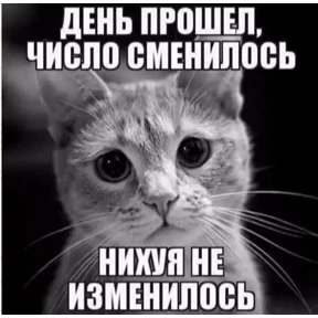 Шо? — стикер для MAX