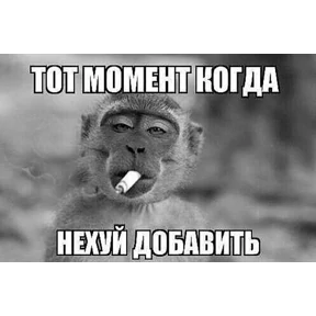 Мемы — стикер для MAX