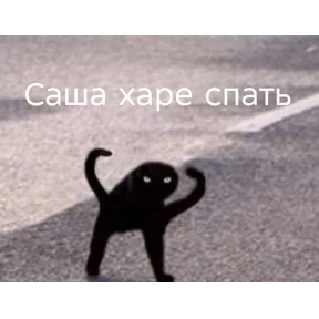 Прикол — стикер для MAX