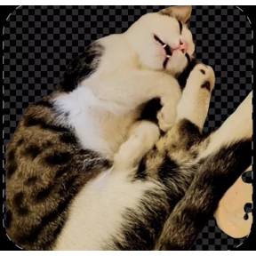 Котики — стикер для MAX