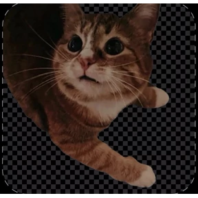 Котики — стикер для MAX