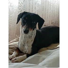 Мои — стикер для MAX
