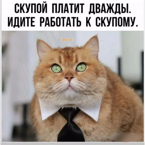 Персиянцев — стикер для MAX