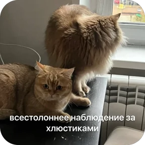 Булосьная полисия — стикер для MAX