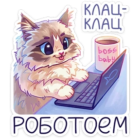 Стелла — стикер для MAX