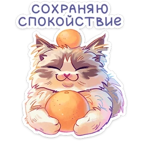 Стелла — стикер для MAX