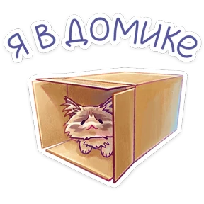 Стелла — стикер для MAX