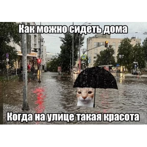 Ля кошь — стикер для MAX
