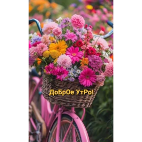 Ля кошь — стикер для MAX