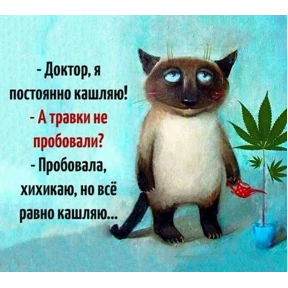 Ля кошь — стикер для MAX